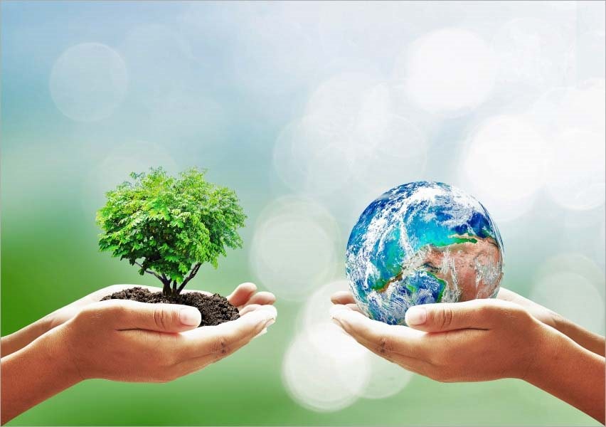 Ngày môi trường thế giới 2025